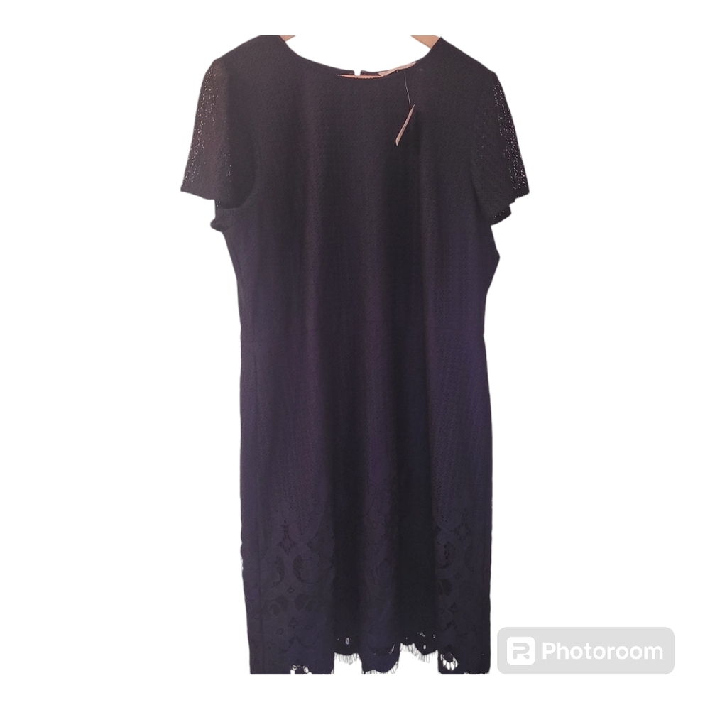 LOFT Lace Sheath Dress Womens 16 Navy Eyelet Short Sleeve Flutter Knee Length